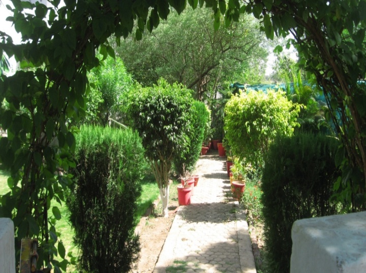 HERBAL MEDICINAL GARDEN - NIPS